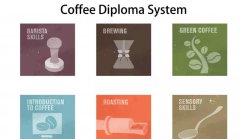 学咖啡真的需要考SCA咖啡资格证吗？