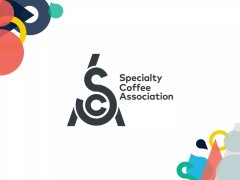 SCA 精品咖啡协会咖啡师初中级认证课程